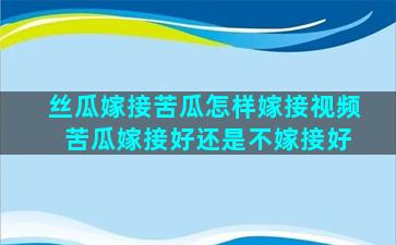 丝瓜嫁接苦瓜怎样嫁接视频 苦瓜嫁接好还是不嫁接好